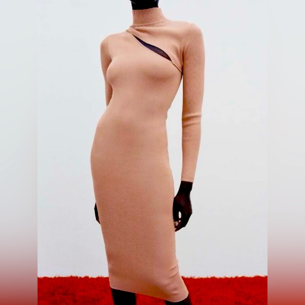 Zara Pink Cutout Detail Dress NWT